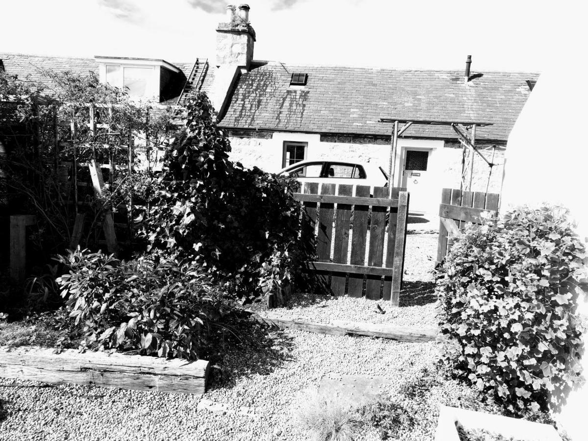 6 Seatown, Lossiemouth Esterno foto