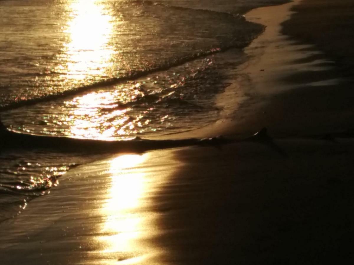 6 Seatown, Lossiemouth Esterno foto